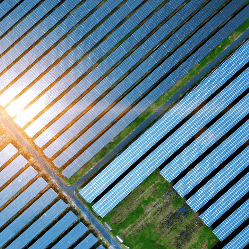 Aerial perspective of solar panels spread across a field, highlighting renewable energy's role in managing the carbon budget.