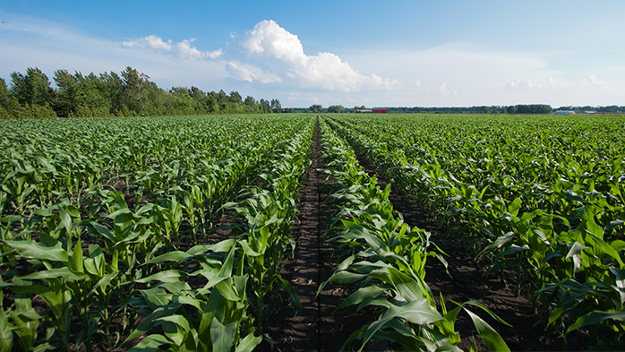 CRU Fertilizers – Top Ten Calls of 2021