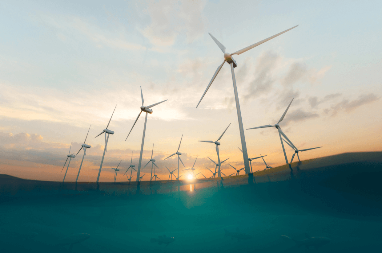EU carbon price will rise on low wind in November