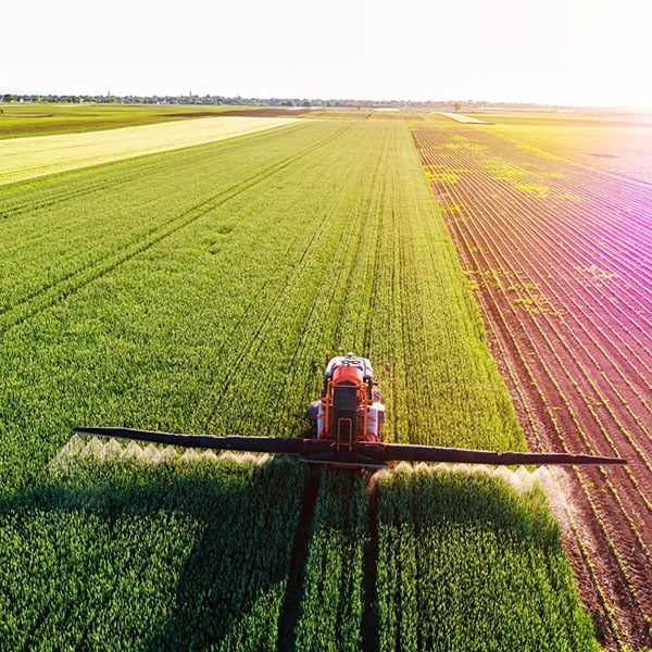 Strategic Insight into the Fertilizer Market