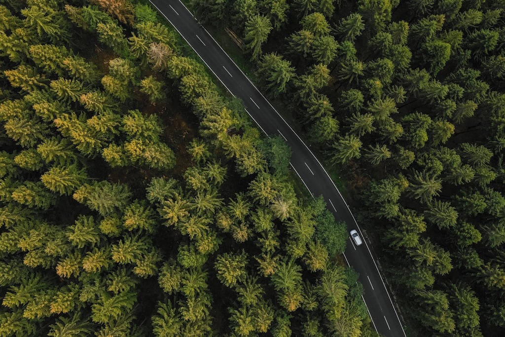 Aerial perspective of a car navigating through a dense forest, emphasizing the need for a balanced carbon budget.