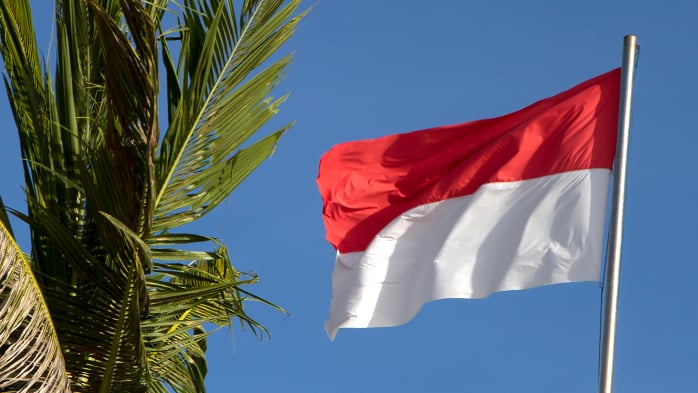 Implications of Indonesia’s Decision to Relax the Nickel Ore Export Ban