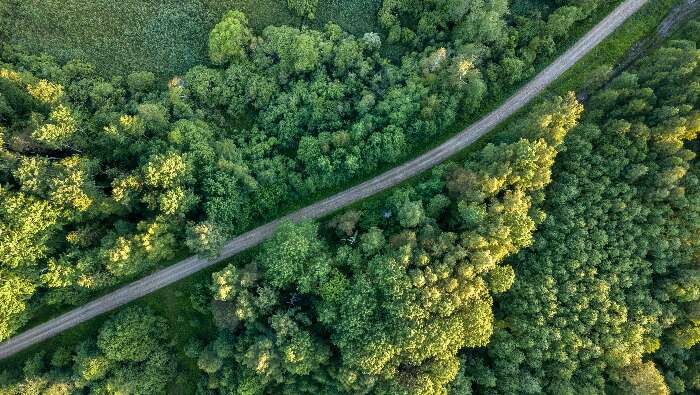 Top 10 sustainability calls for commodity markets in 2024 – part one