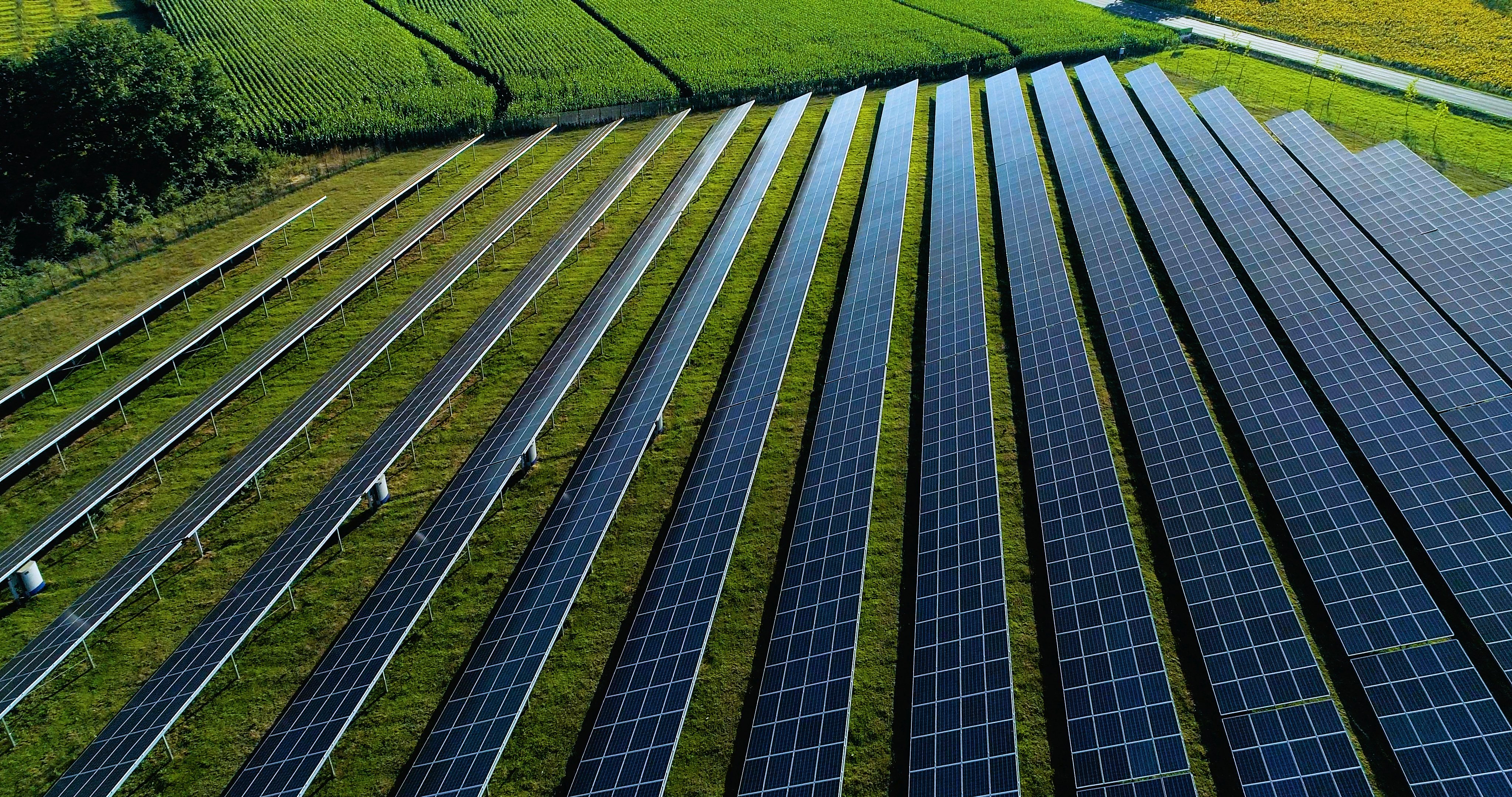 China's solar policy changes drive a contraction in the global market