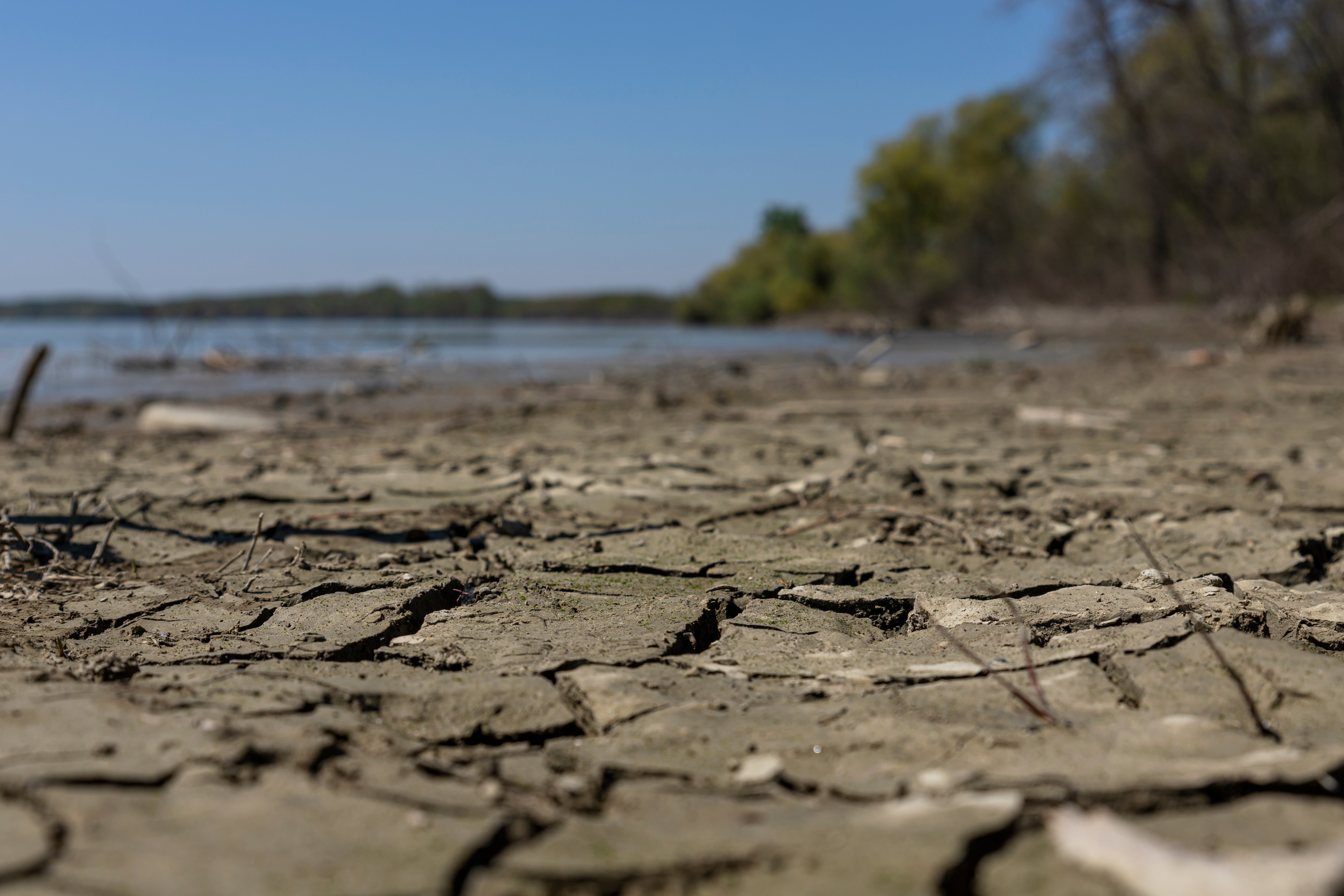 Image of cracked, muddy river bank