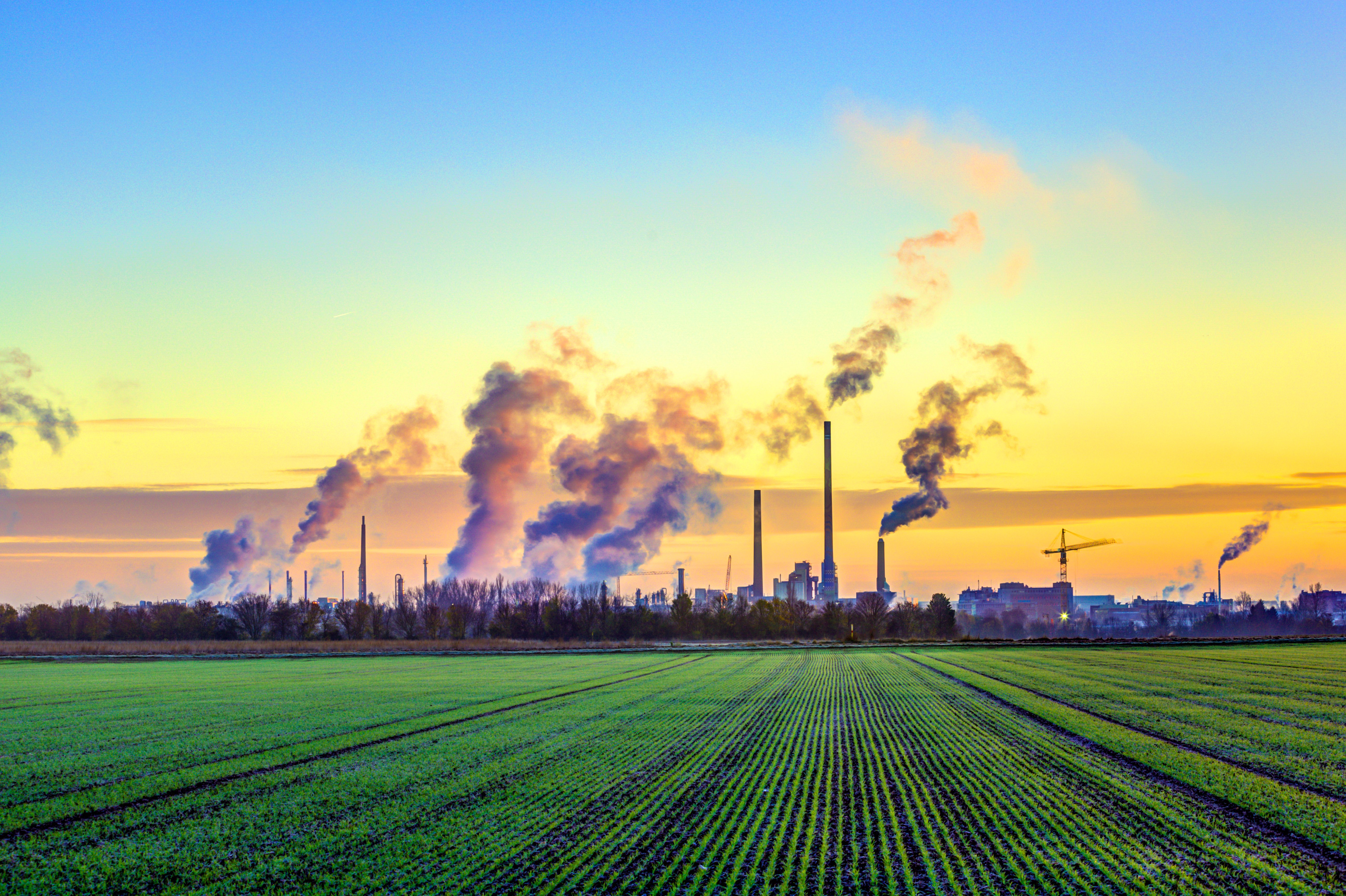 Pressure on Scope 3 emissions footprints will reshape global supply chains