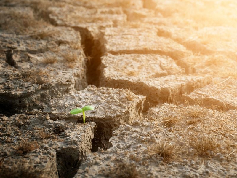Super El Niño 2026: A Global Economic Stress Test