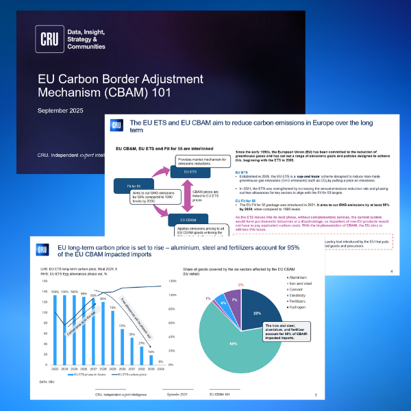 Carbon Border Adjustment Mechanism (CBAM)