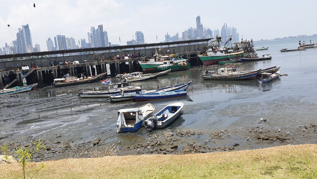 The Strongest El Niño in a Generation Is Wreaking Havoc on Global Economy