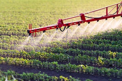 Green ammonia fails to gain from Hormuz fertiliser shock