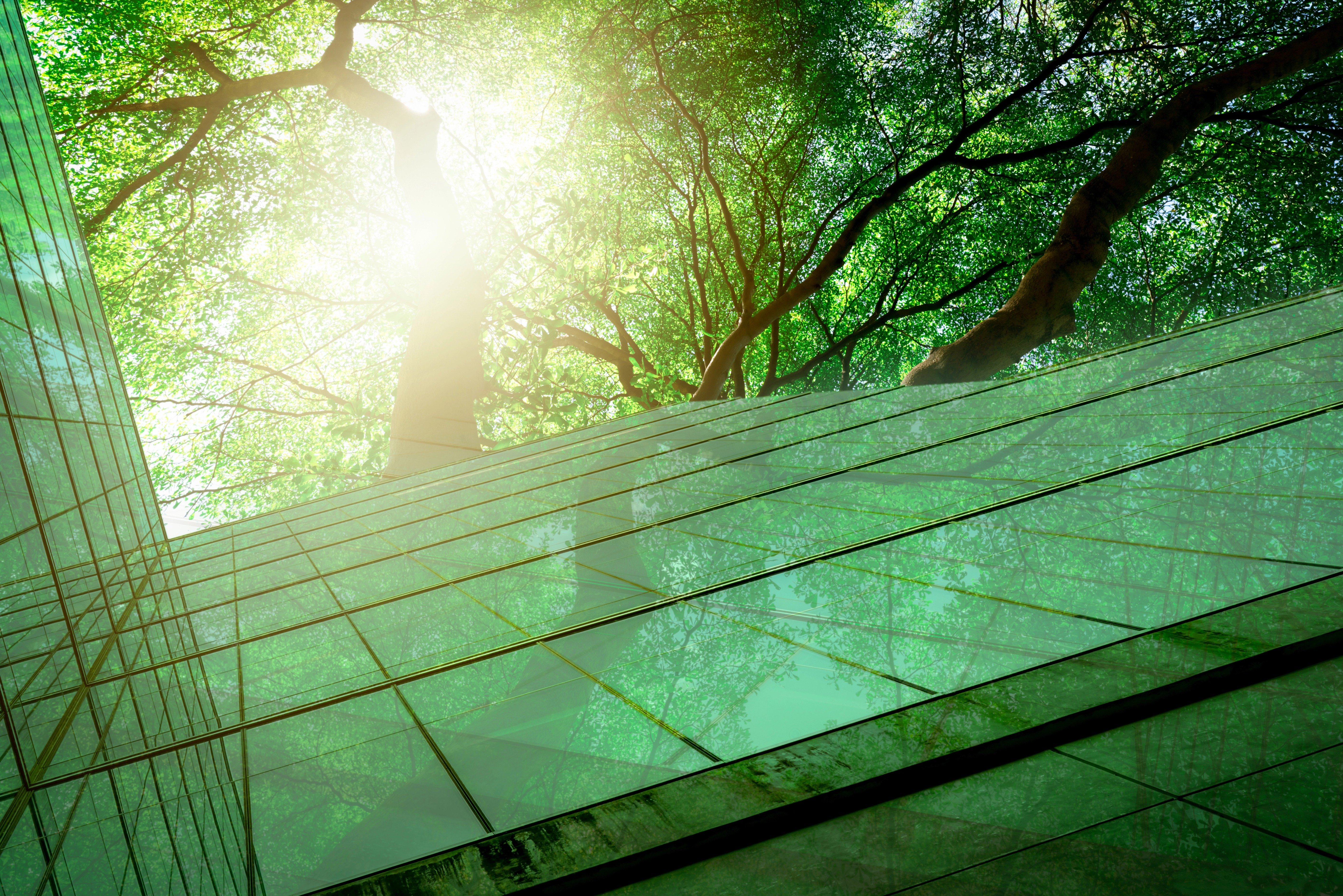 Sunlight