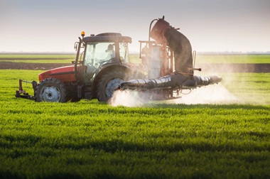 New fertiliser exporters blunt food crisis fears