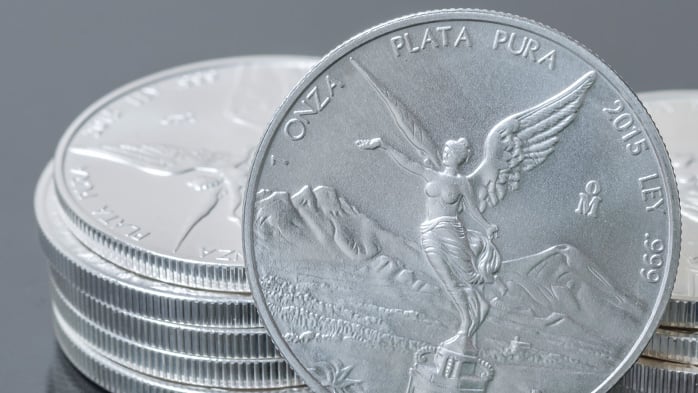 Silver’s runaway rally becomes ‘death trap’ for Reddit’s retail crowd