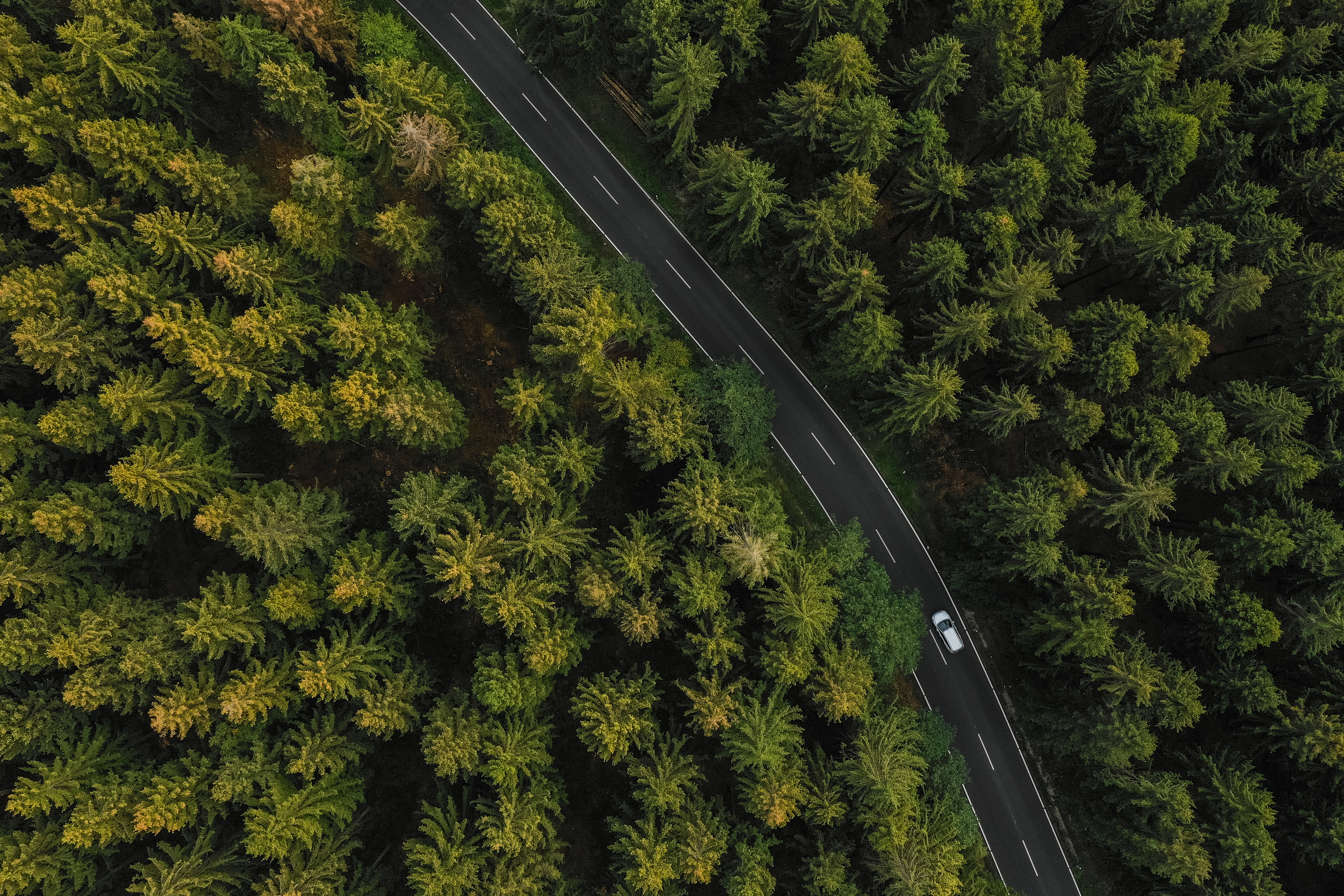 Climate Change Scenarios Report