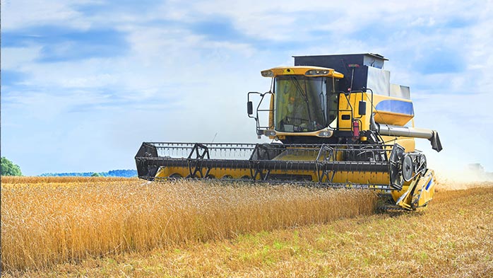 ‘Food security timebomb’: a visual guide to the Gulf fertiliser blockade